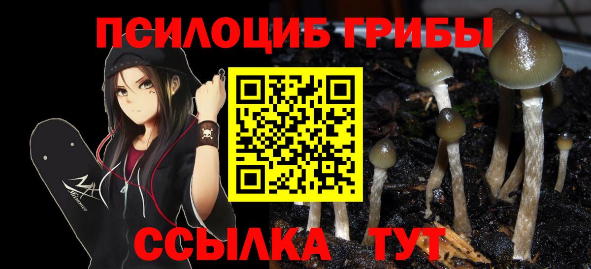 Псилоцибиновые грибы мицелий  Псилоцибиновые грибы MAGIC MUSHROOMS  Вход с VPN  Озёрск 