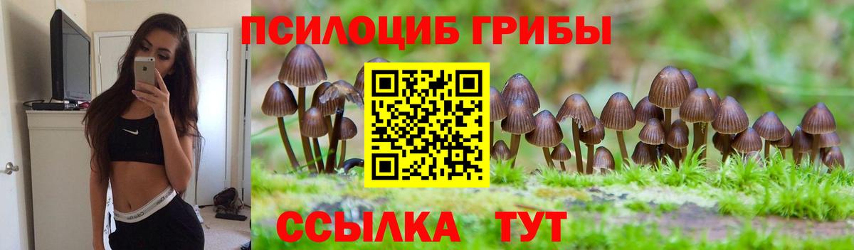 Псилоцибиновые грибы мухоморы Озёрск
